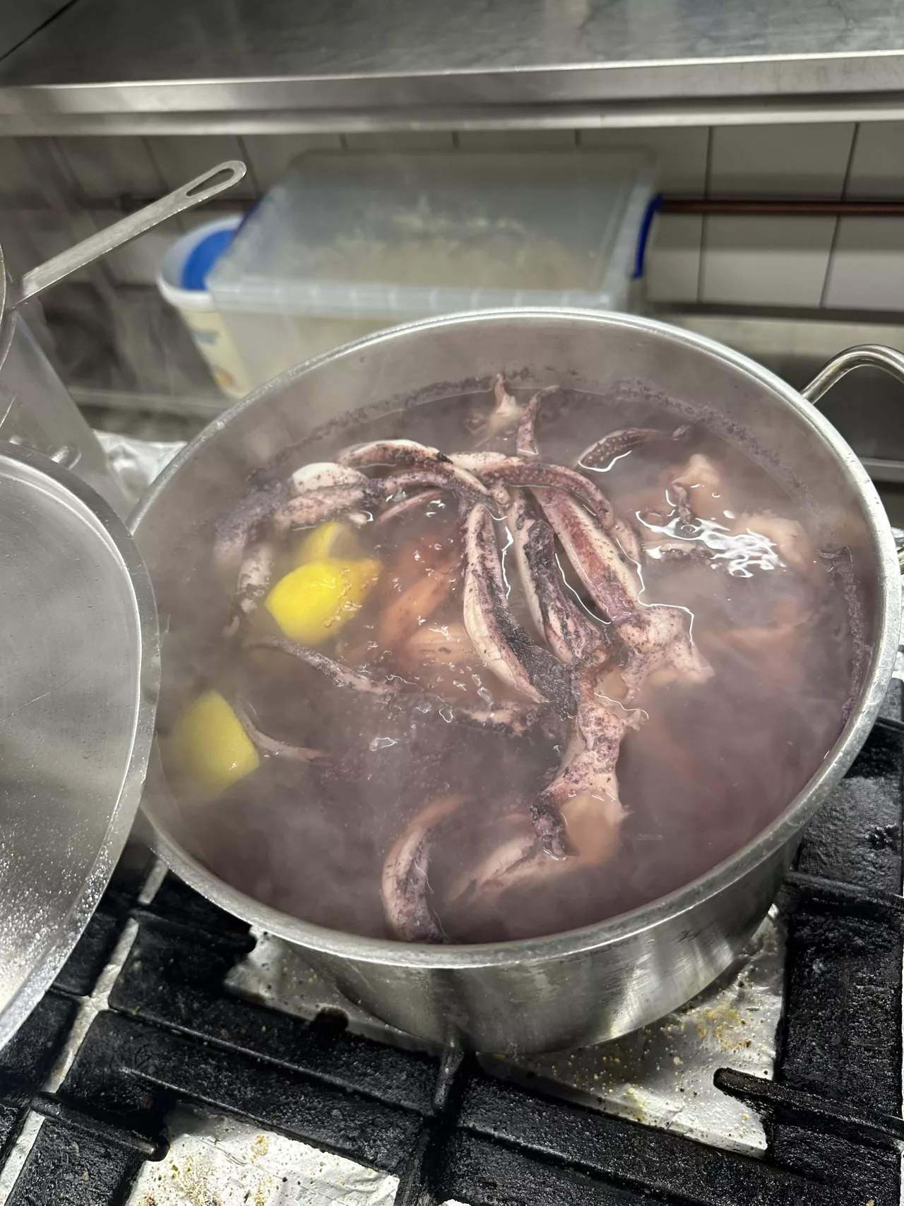 La Vinia Impression 10